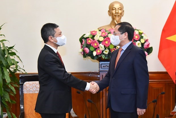 Recibe canciller vietnamita al nuevo embajador de Indonesia hinh anh 1