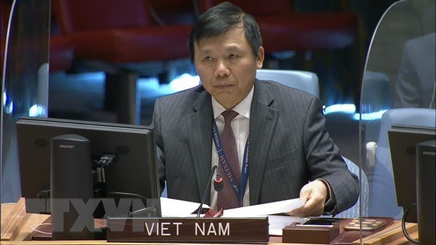 Reitera Vietnam compromiso de impulsar la paz mundial hinh anh 1