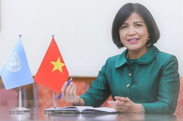 Apoya Vietnam papel y actividades del Consejo de Derechos Humanos de la ONU hinh anh 1