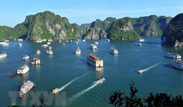 Insta viceprimer ministro vietnamita a recuperar actividades turisticas de manera segura hinh anh 1