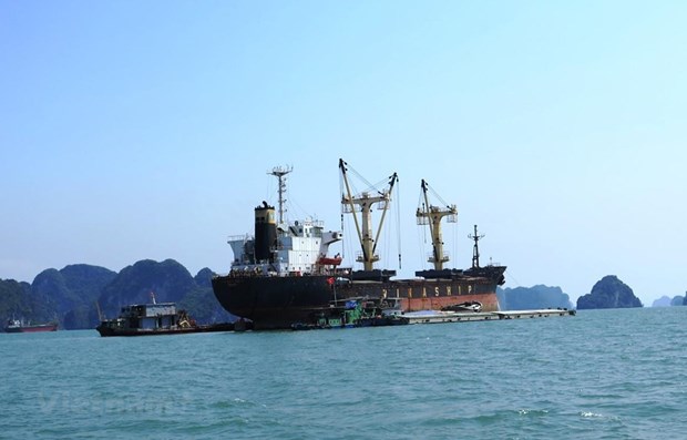 Proponen en Vietnam mecanismo especial para el transporte costero hinh anh 1