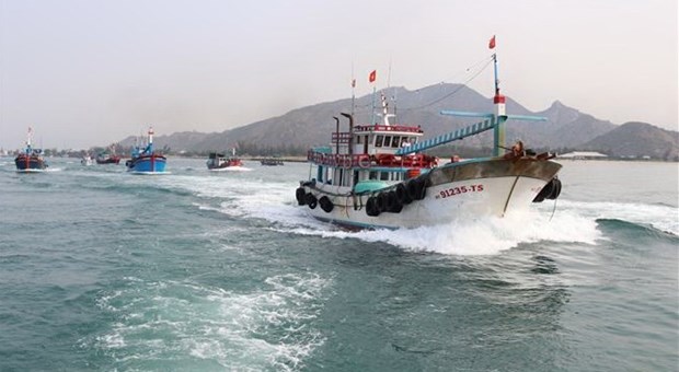 Localidades costeras de Vietnam por combatir contra la pesca ilegal hinh anh 1