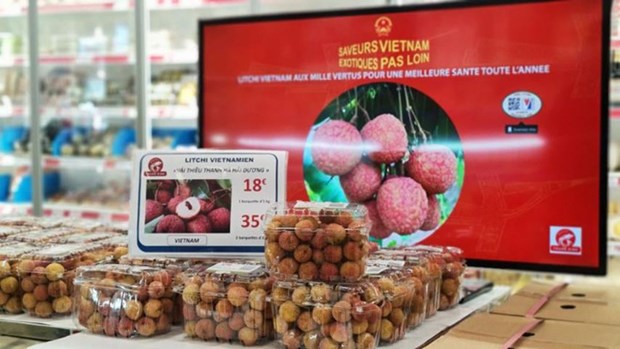 Empresarios vietnamitas en el exterior por incrementar aportes a promocion de marca nacional hinh anh 1