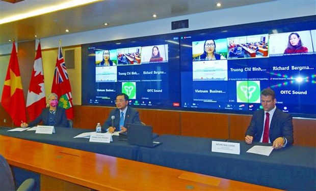 Vietnam y Canada promuevan cooperacion en cadena de suministro hinh anh 1