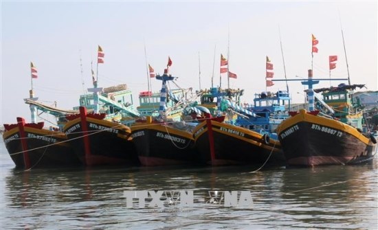 Provincia vietnamita de Ben Tre por combatir la pesca ilegal hinh anh 1