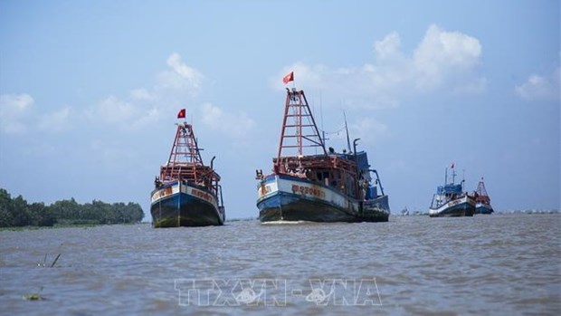 Vietnam determina a rectificar la pesca ilegal en aguas extranjeras hinh anh 1
