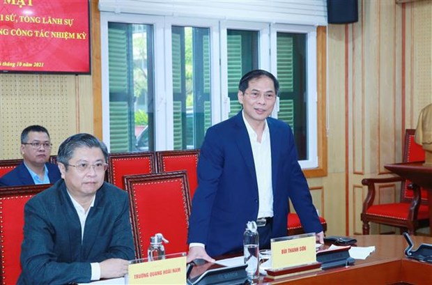 Exigen a diplomaticos vietnamitas en extranjero promover papel pionero en las relaciones exteriores hinh anh 2