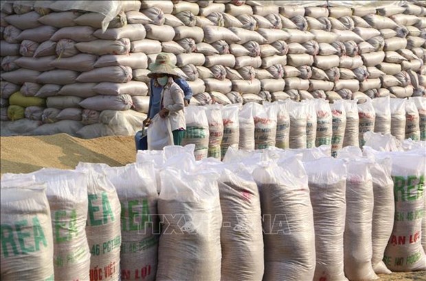 Vietnam ayuda a pobladores afectados por el COVID-19 con miles de toneladas de arroz hinh anh 1