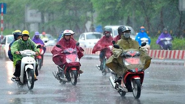 Reportan frio y lluvias en el norte y centro de Vietnam hinh anh 1