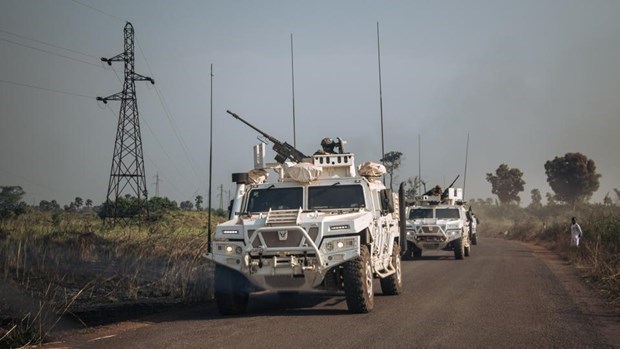 Vietnam aplaude alto el fuego unilateral del gobierno de la Republica Centroafricana hinh anh 1