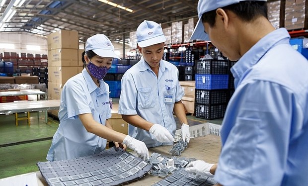 Sector privado juega papel cada vez mas importante en la economia vietnamita hinh anh 1