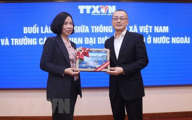 Buscan mejorar cooperacion entre VNA y misiones representativas de Vietnam en extranjero hinh anh 2