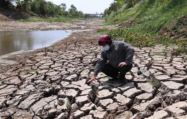 Vietnam busca cooperacion internacional en lucha contra el cambio climatico hinh anh 1