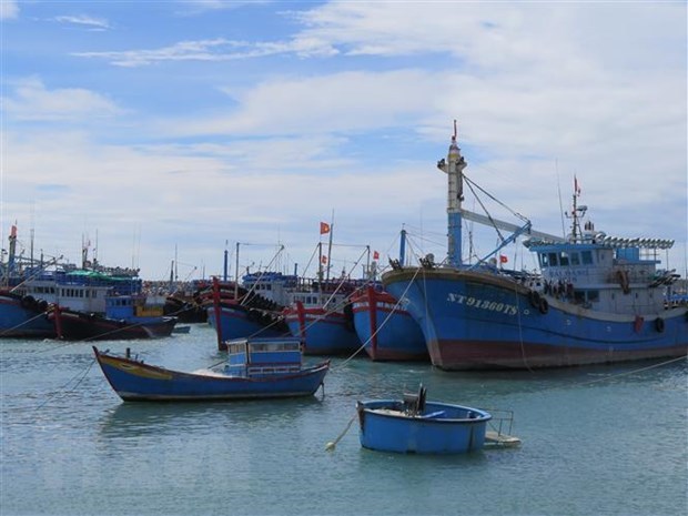 Empresas vietnamitas se comprometen a combatir la pesca ilegal hinh anh 1