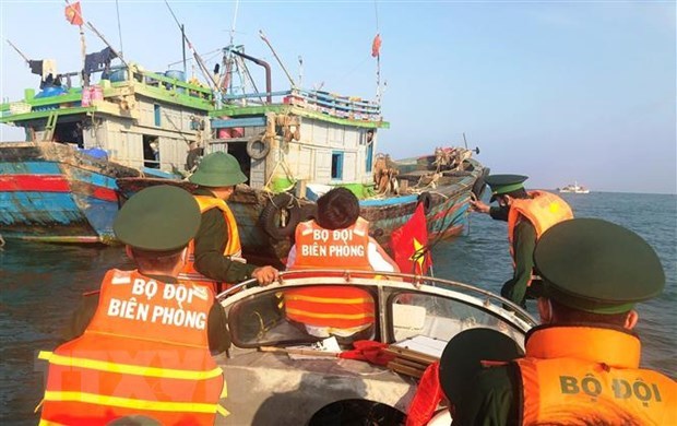 Empresas vietnamitas se comprometen a combatir la pesca ilegal hinh anh 2