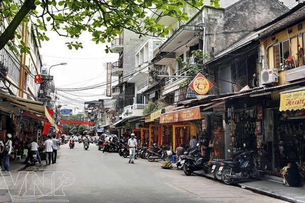 Exploremos la calle de Hang Quat en el barrio antiguo de Hanoi hinh anh 2