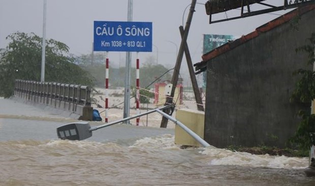 Inundaciones provocan cuantiosas perdidas en el centro de Vietnam hinh anh 1