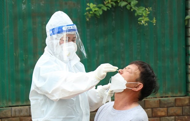 Recuperados mas de 812 mil pacientes del coronavirus en Vietnam hinh anh 1