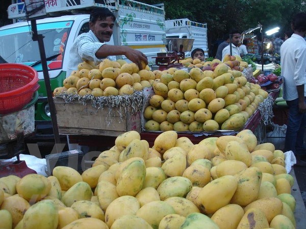 Corea del Sur aumenta importaciones de mango vietnamita hinh anh 1