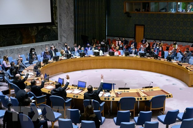 La ONU prorroga sus misiones en Sahara Occidental y Colombia hinh anh 1
