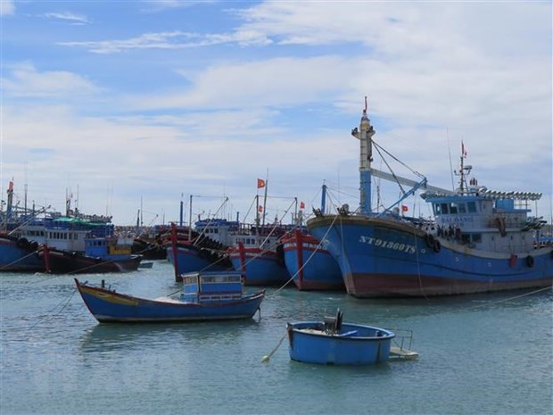 Localidades costeras en Vietnam toman medidas mas estrictas contra pesca ilegal hinh anh 1