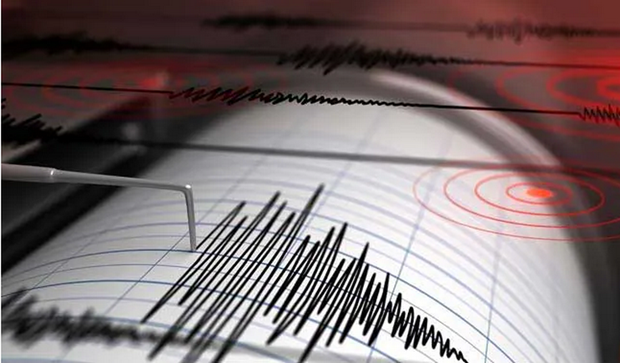 Terremoto de magnitud 5,9 sacude aguas de Indonesia hinh anh 1