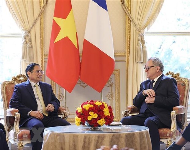 Vietnam y Francia decididos a profundizar relaciones estrategicas hinh anh 2