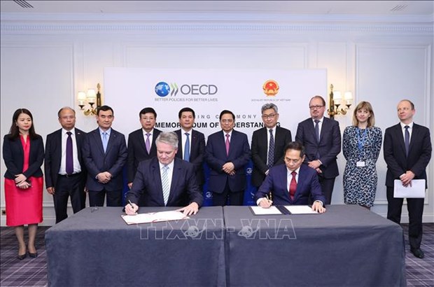 Vietnam y OCDE firman memorando de cooperacion para 2022-2026 hinh anh 1