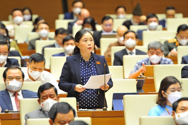 Diputados vietnamitas piden prestar mayor atencion a las minorias etnicas hinh anh 3