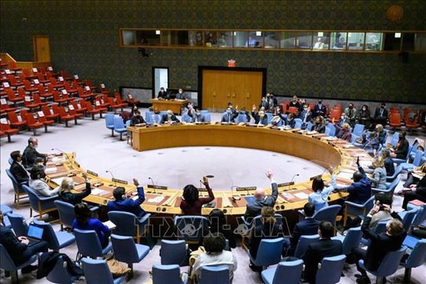 Vietnam llama a la plena observancia del derecho internacional humanitario en Etiopia hinh anh 2