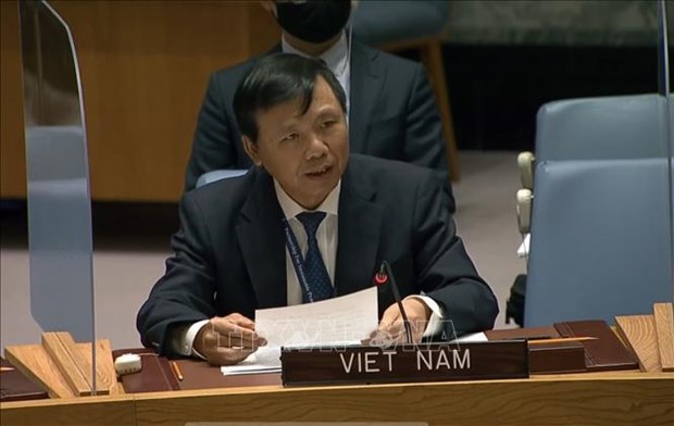 Vietnam pide abordar las causas fundamentales de la desigualdad hinh anh 2
