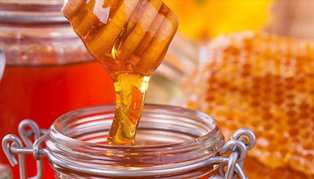 Vietnam por garantizar estabilidad de exportaciones de miel a Estados Unidos hinh anh 1