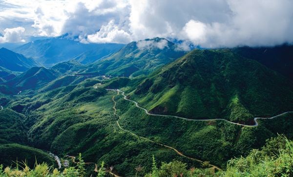 USAID apoya a provincia vietnamita en conservacion de biodiversidad forestal hinh anh 2