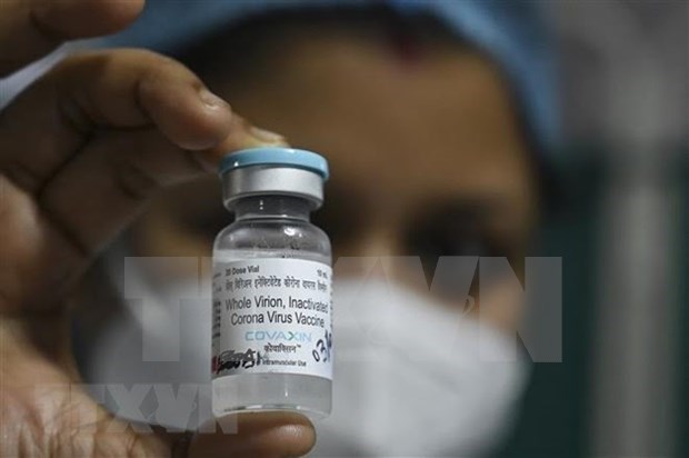 Vietnam aprueba con condiciones la vacuna india Covaxin contra COVID-19 hinh anh 1
