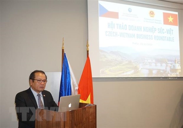 Vietnam y Republica Checa buscan impulsar colaboracion comercial hinh anh 1