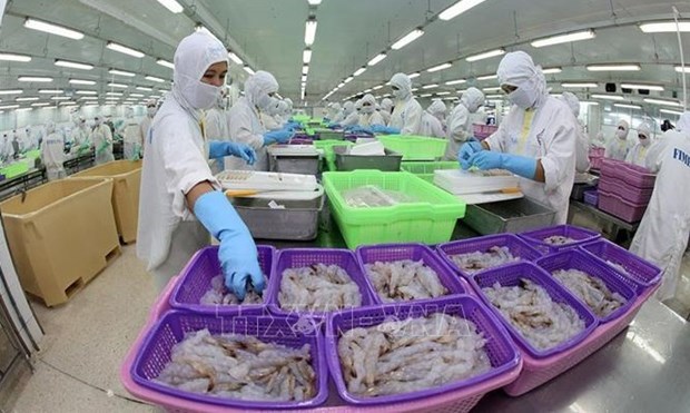 Industria de procesamiento de camaron de Vietnam trabaja por cumplir objetivo en 2021 hinh anh 1