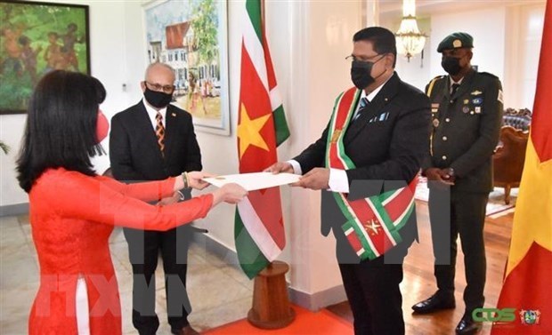 Vietnam y Surinam amplian relaciones bilaterales hinh anh 1