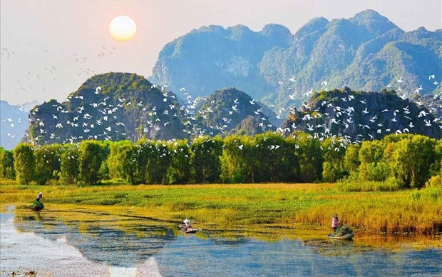 Vietnam por reforzar restauracion del ecosistema hinh anh 1