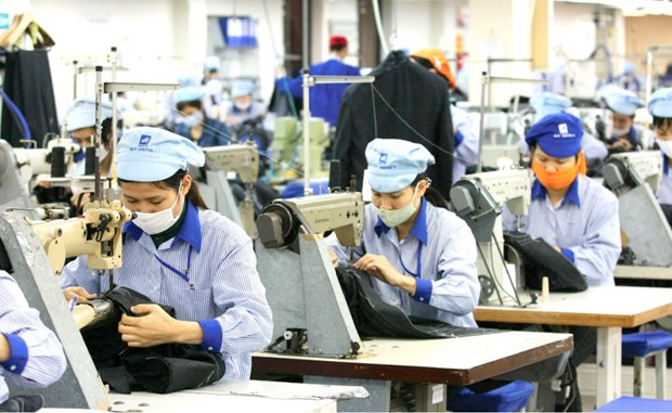 Empresas vietnamitas de exportacion de fuerza laboral trabajan por superar dificultades por el COVID-19 hinh anh 1