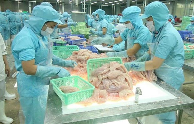 Organizan foro sobre comercio de productos agricolas y pesqueros Vietnam-Rusia hinh anh 1