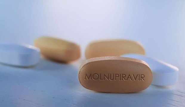 Empresas vietnamitas producen medicamento Molnupiravir contra el COVID-19 hinh anh 1