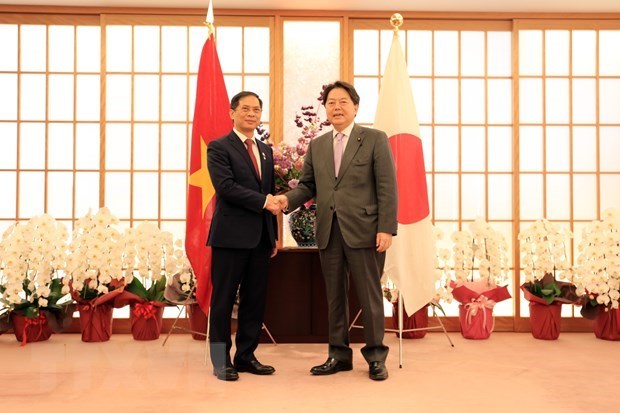 Vietnam considera a Japon como socio estrategico importante hinh anh 1