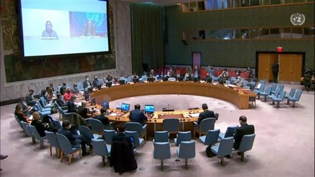 Vietnam apoya a la ONU a reformar su Consejo de Seguridad hinh anh 1