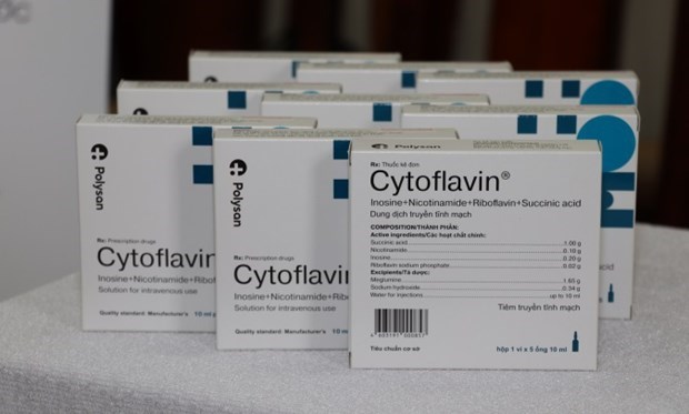 Empresa rusa dona a Ciudad Ho Chi Minh medicamentos para el tratamiento del COVID-19 hinh anh 2