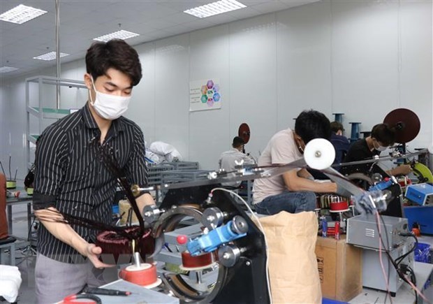 Aumenta numero de nuevas empresas vietnamitas en noviembre hinh anh 1