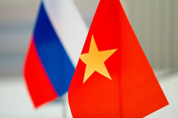 Relaciones Vietnam-Rusia, modelo en la practica diplomatica mundial, segun especialistas hinh anh 1