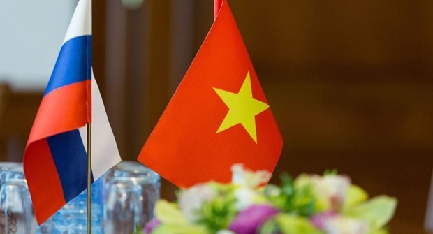 Robustece Vietnam cooperacion con partidos politicos de Rusia hinh anh 1