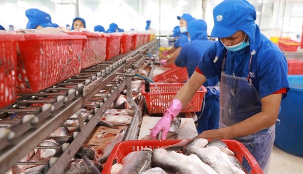 Destacan potencialidades para exportacion de productos acuaticos vietnamitas a Canada hinh anh 1
