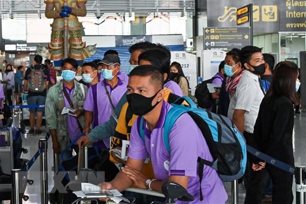 Tailandia y Camboya discuten soluciones para permitir regreso al trabajo de empleados migrantes hinh anh 1