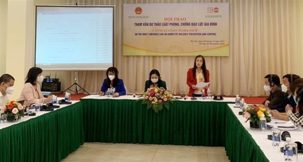 ONU apoya esfuerzos de Vietnam contra violencia domestica hinh anh 1